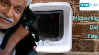 SUREFLAP MICROCHIP CAT FLAP DUALSCAN  REVIEW [upl. by Earb]