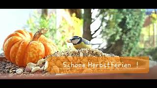 Schöne Herbstferien [upl. by Cryan]