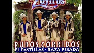 El Michoacano  Los Zafiros Del NortePuro Corridos [upl. by Anit]