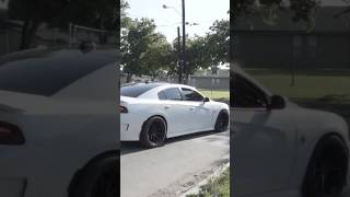 800 HP Hellcat Burnout  SRT StreetRacing HellCat DodgeChallenger Mopar Dallas Texas Content [upl. by Wehrle645]