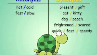 Antonyms and Synonyms [upl. by Airetas]