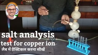 copper ion test salt analysis neet [upl. by Bendix153]