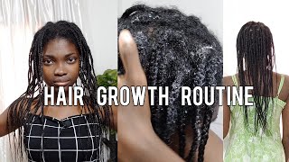 HAIR GROWTH ROUTINE  2 MONTHS OLD MINI BRAIDS TAKEDOWN PREP  MOISTURIZING amp SEALING [upl. by Varien1]