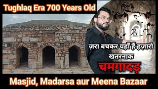 700 Saal Se Bhi Purane Tughlaqabad Qile Ki Masjid Madarsa Aur Meena Bazaar  तुगलक़ाबाद क़िला [upl. by Holleran]