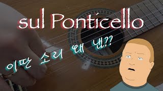 Sul Ponticello에 대한 모든것 쓰라는거야 말라는거야음향 상향 [upl. by Ayahc]