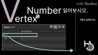 VertexNumber Houdini에서 읽는 방법과 역할을 알아보자 Feat Reverse Node [upl. by Gib]