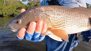 Fishing Tampa Bay for an Inshore Slam with Wader Dave [upl. by Ennayram]