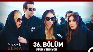 Yasak Elma 36 Bölüm Uzun Versiyon [upl. by Toole956]