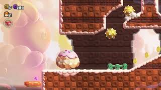 Petal Isles Special Way of the Goomba WR 133100 [upl. by Bartel815]