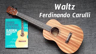 Waltz  Ferdinando Carulli 1770  1841 [upl. by Evita]