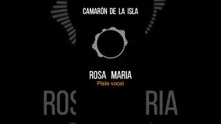 Camarón de la Isla  Rosa Maria  Vocal sans musique [upl. by Malka]