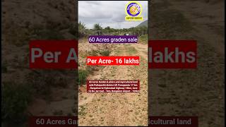 60 Acres Garden amp plain Land Agricultural land sale Puttaparthi district AP Penugonda17 km [upl. by Hedelman]