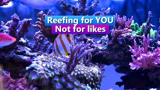 Reefing for You  Not for Likes [upl. by Butch]