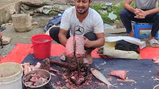 🔴Amazing Blood Carp Fish Cutting Skills  Fish Cutting Skills [upl. by Kristien]