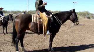 Buck Brannaman Clinic Best Ride Hes Seen [upl. by Alric]