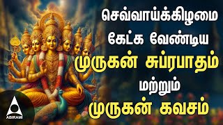 Tuesday Popular Murugan Tamil Devotional Songs  Palani Thiruchendur Tiruthani Pazhamudircholai [upl. by Lotte]