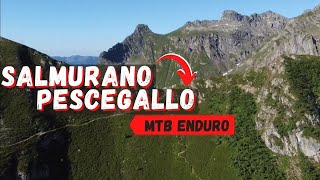 TRAIL DELLA VALGEROLA PASSO SALMURANO  PESCEGALLO  MTB ENDURO [upl. by Euqnimod]