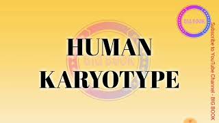 HUMAN KARYOTYPE and its significance [upl. by Agustin]