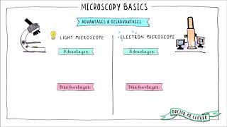 MICROSCOPY BASICS AQA 91 GSCE Biology Topic 1 Cell Biology [upl. by Son]