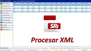 Procesar XML  Comprobantes SRI a Excel [upl. by Pearla462]