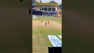 babar azam vs Shaheen Afridi in champions one day cup 2024 babarazam shaheenafridi shortvideo [upl. by Vite138]