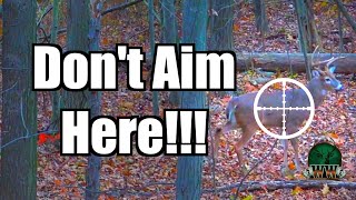 YOURE AIMING WRONG Deer Shot Placement  Archery Deer Hunting Tip [upl. by Sibley]