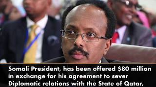 Somalia turns down 80m from Saudi Arabia to cut ties with Qatar [upl. by Ayerhs]