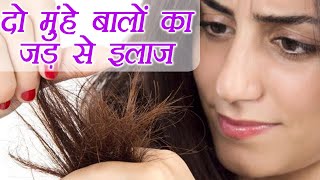 दो मुंहे बालों की समस्या ख़त्म करेंगे ये उपाय Cure Split hairs problem EASILY  Home Remedy Boldsky [upl. by Arrej438]