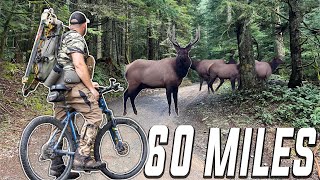 We BIKED 60 MILES To Kill an OTC Bull Elk Public Land [upl. by Hodosh]