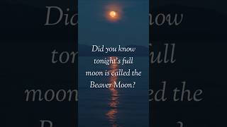 The Shocking Truth About Novembers Full Moonearthsky supermoon fullmoon supermoon november [upl. by Lynnette]