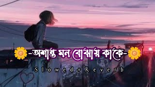 Dipannita Lyrics Song  অশান্ত মন বোঝাই কাকে দীপান্বিতা  slowed and reverb  bangalilofi [upl. by Eenobe]