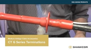 DSGCanusa CT G Terminations [upl. by Lakin]