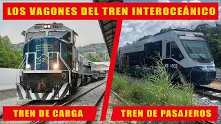 Así son los vagones del tren Interoceánico del Istmo de Tehuantepec [upl. by Saticilef]