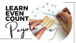 Basic Bead Weaving  Peyote Stitch Tutorial  Even Count  Using BIG BEADS [upl. by Hebbe]