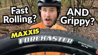 The quotGoldilocksquot Tire for Trail Bikes  Maxxis Forekaster V2 [upl. by Longwood]