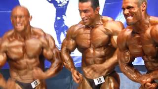 Pro Nutrition GP 2012 100 KG nemzetközi [upl. by Enimsay236]