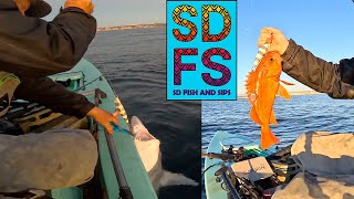 Friends Sharks and Rockfish  Solo Skiff Fishing La Jolla in December  San Diego Winter SDFS 2022 [upl. by Ettelorahc]