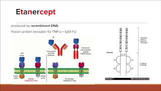 TNFa inhibitors Simplified for the USMLE and COMLEX [upl. by Annairdna960]