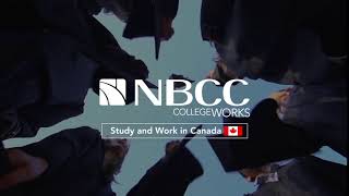 Study and Work in Canada [upl. by Lelia75]