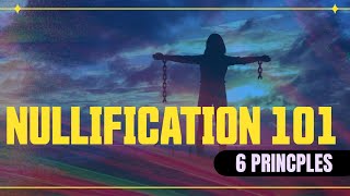 Nullification 101 6 Core Principles [upl. by Varuag]