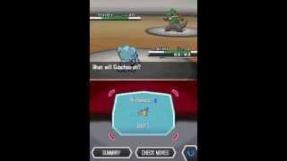 Lets Play Pokemon White  Pt 32  Dragon Gym 23 [upl. by Hareehahs]