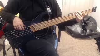 Theo Katzman  The Death Of Us Bass Cover [upl. by Kobi]