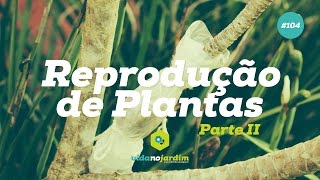 Reprodução de plantas  Parte II [upl. by Sanford866]