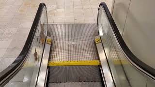 Montgomery Escalators  Macys Westmoreland Mall  Greensburg PA [upl. by Gonagle]