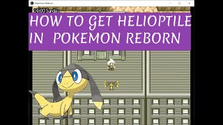 How to get HELIOPTILE in Pokemon REBORN [upl. by Thenna]