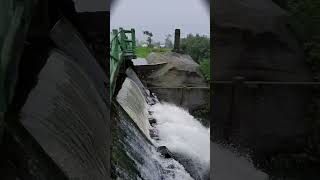 Mawsynram nature naturephotographylovers trending mawsynram water reel [upl. by Lawlor]