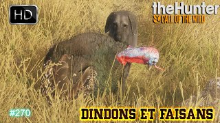 THE HUNTER CALL OF THE WILD 270 UNE NOUVELLE CHASSE AUX DINDONS ET FAISANS SUR RANCHO DEL ARROYO [upl. by Drarehs348]