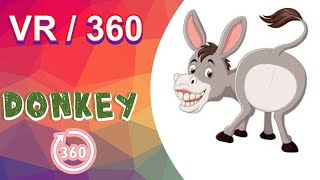 DONKEY AT NORTHUMBERLAND COUNTY ZOO  IN 360 [upl. by Aihsat]