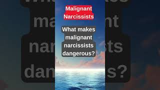 Inside the Mind of a Narcissist 🤯  Psychology Explained facts psychology musicalhealing [upl. by Aronas]