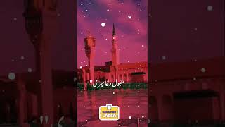 Faryaad  Dua  Naat [upl. by Atteloj]